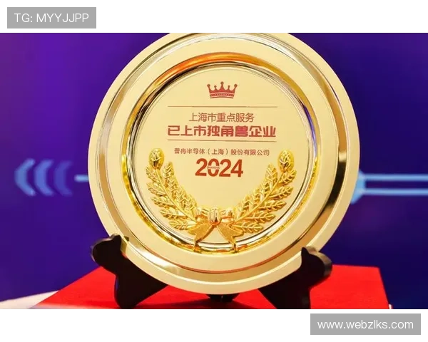 揭秘凯时KS官方入口的优势与安全性保障